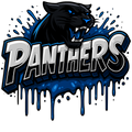 Carolina Panthers print design for custom shirts