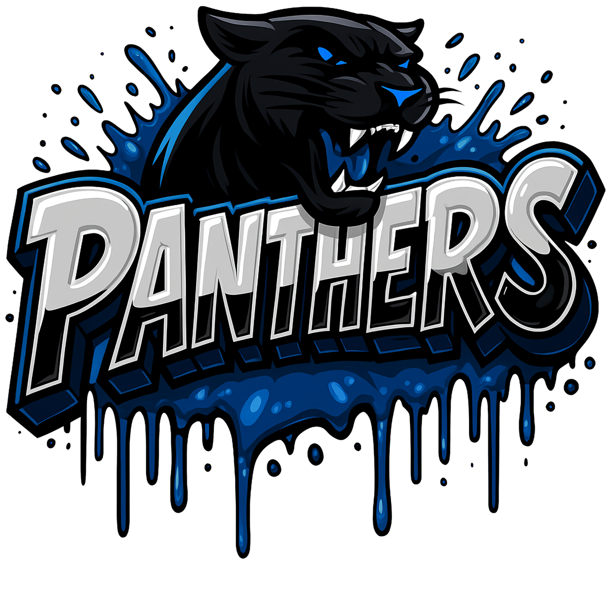 Carolina Panthers print design for custom shirts